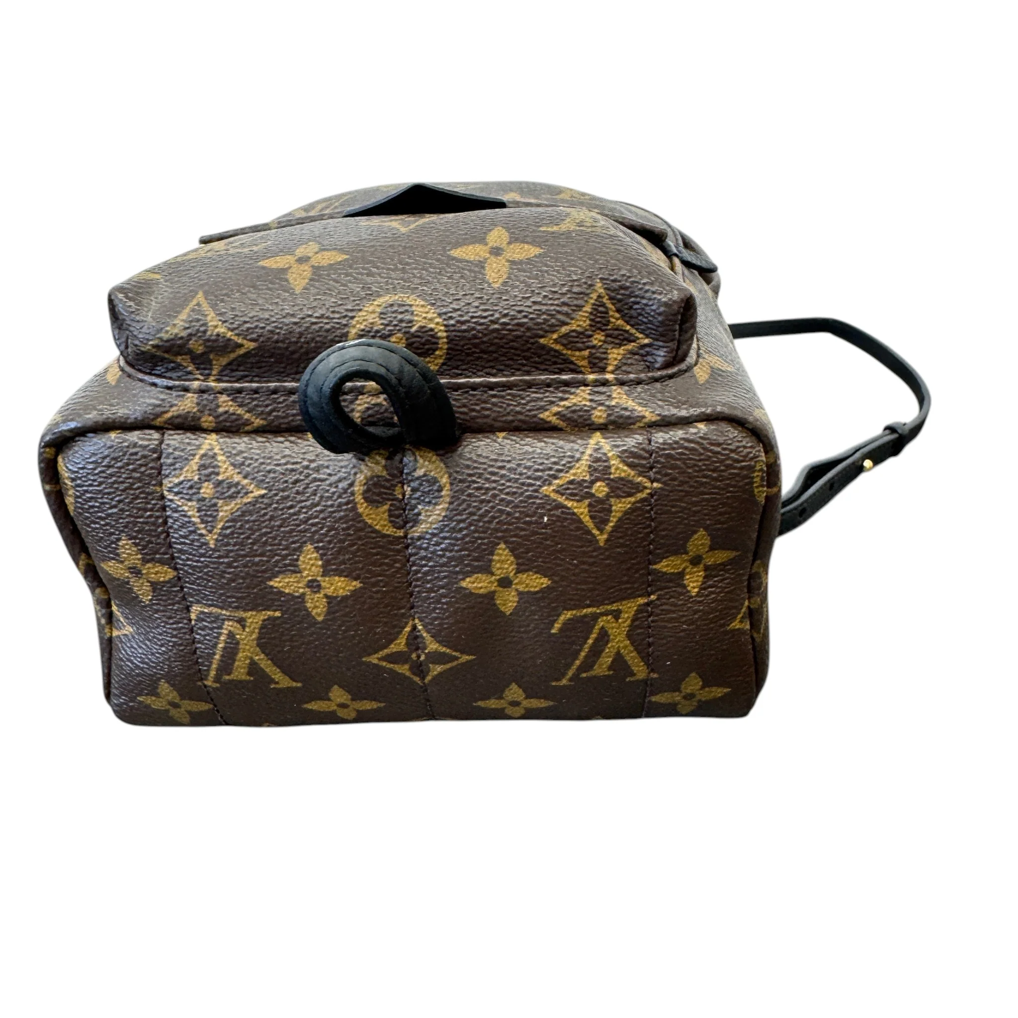 Women's Monogram Palm Springs Mini Backpack Brown - Image 8